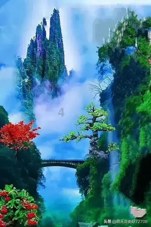 危险森林大逃脱