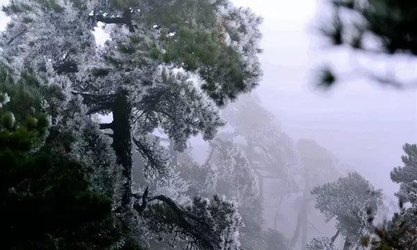 《乡村爱情16》强势定档,燃爆春节档