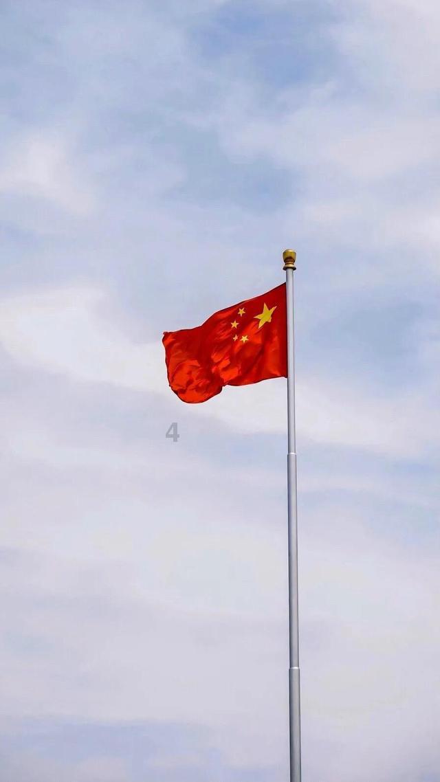 替换数码管成段式液晶屏可以吗?