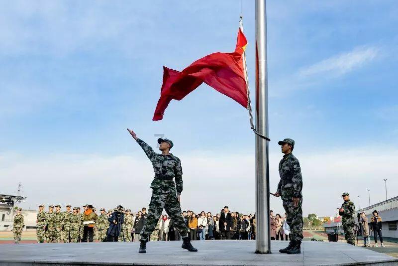 年宵花购养攻略来啦!一起用花扮靓新春~