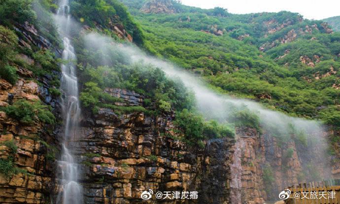 我的矿场