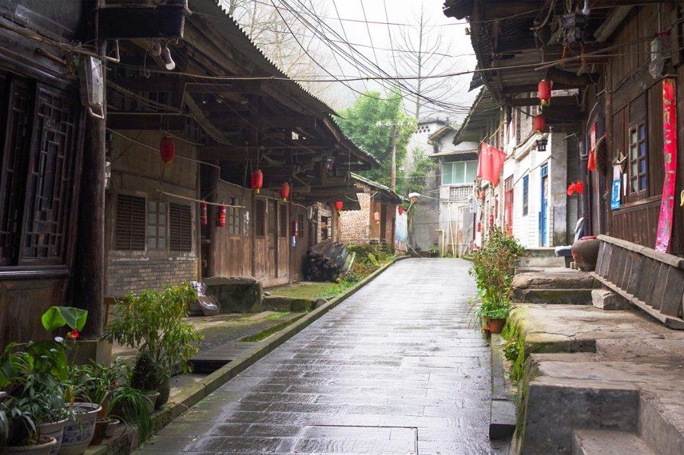救援大嘴鸟