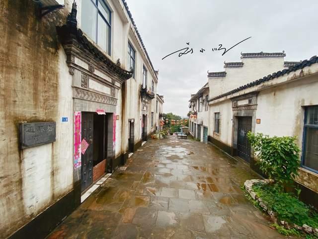 动物帮帮忙保卫家园
