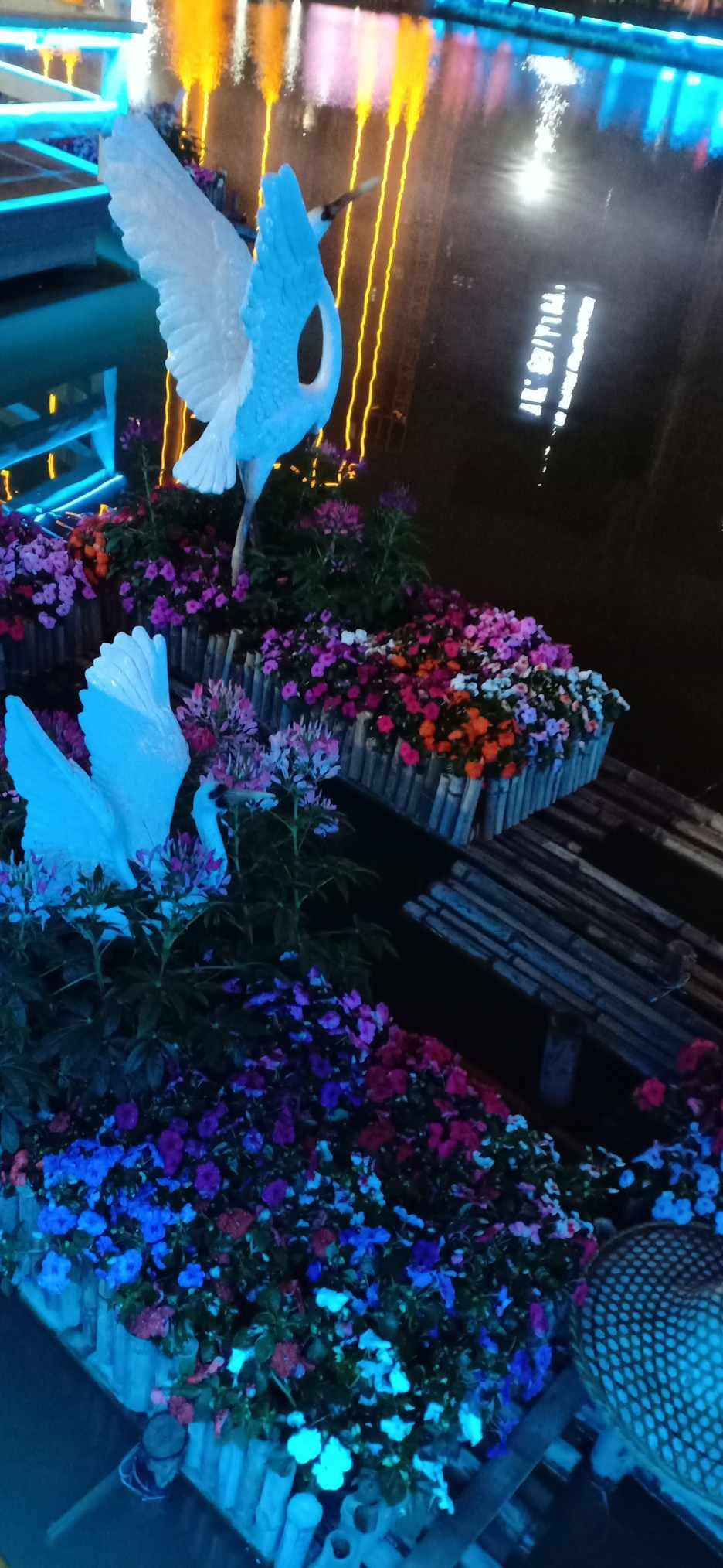 万词王